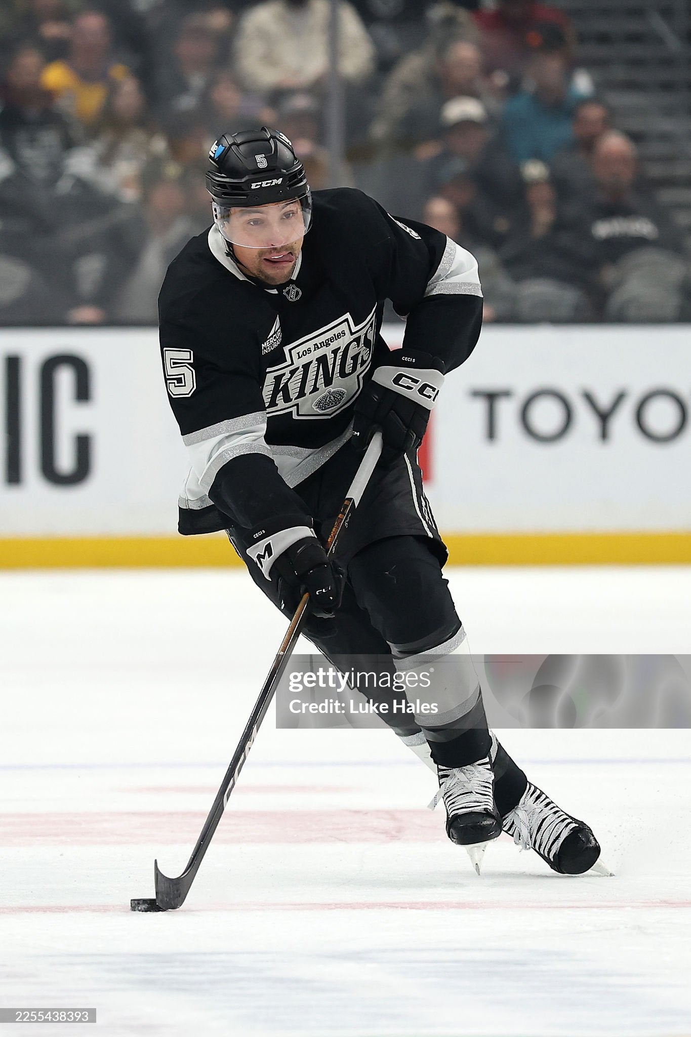 Cody Ceci Game-Used Gloves - Photo-Matched 11/21/25-1/16/26