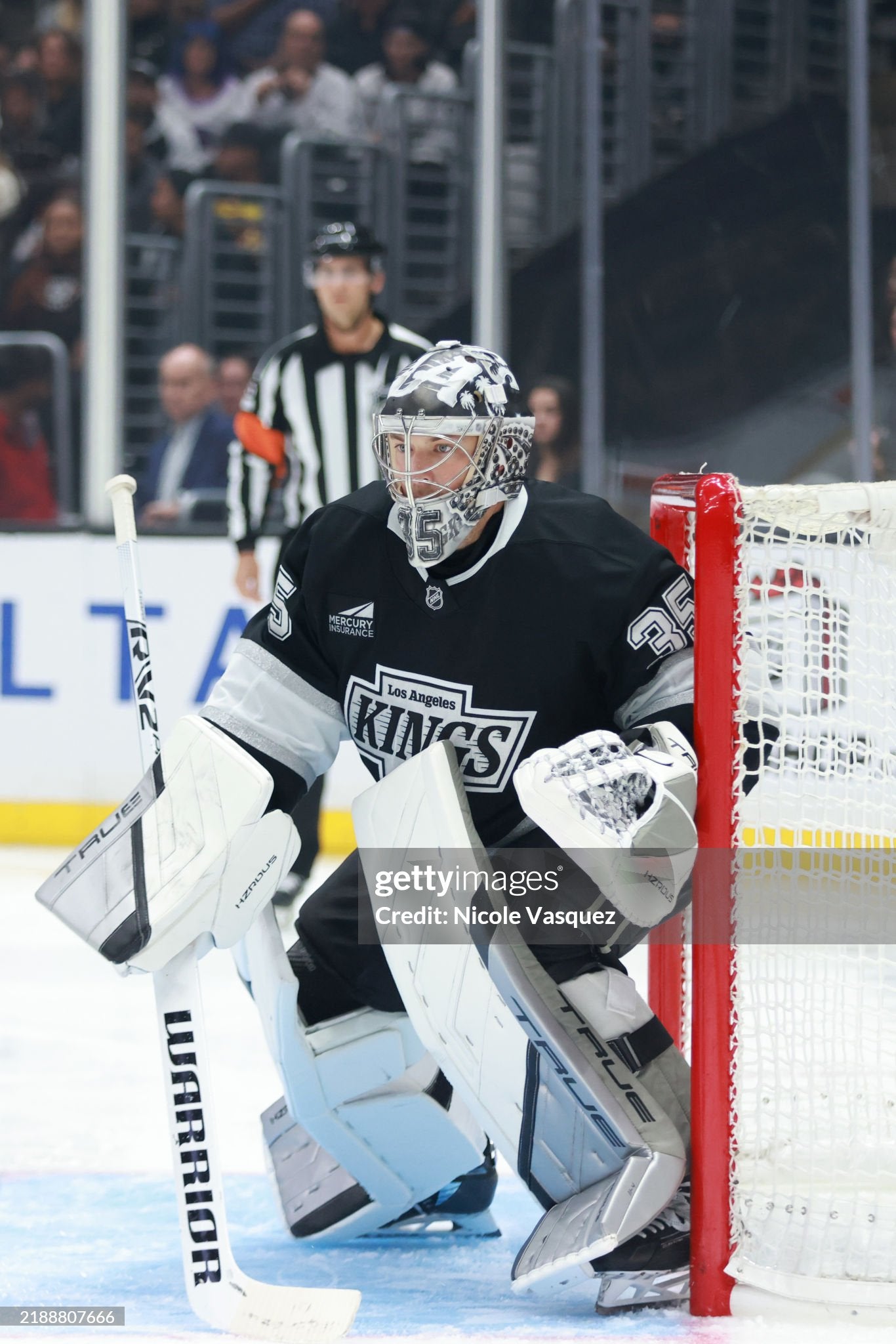 Darcy Kuemper Game-Used TRUE Leg Pads - Photo-Matched