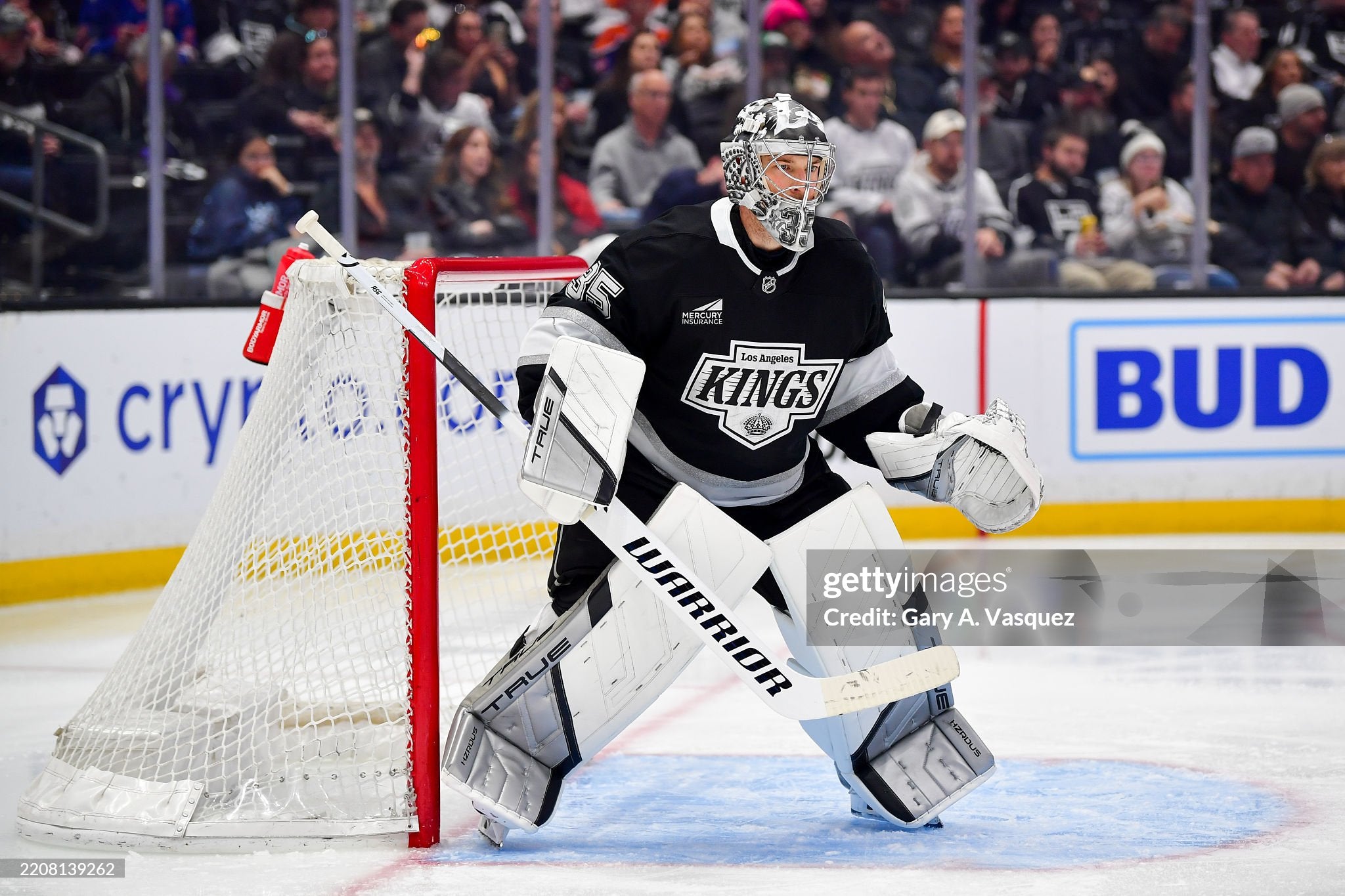 Darcy Kuemper Game-Used TRUE Glove & Blocker - Photo-Matched