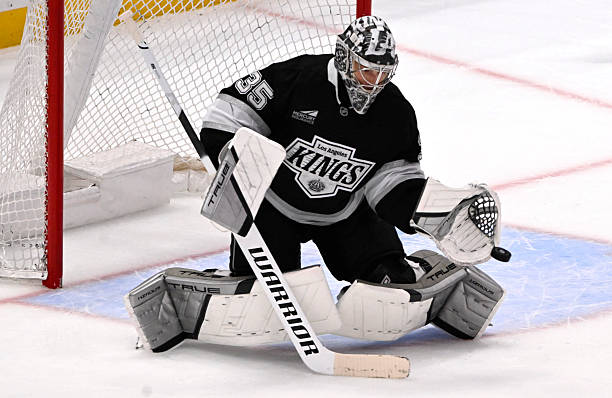 Darcy Kuemper Game-Used TRUE Glove & Blocker - Photo-Matched