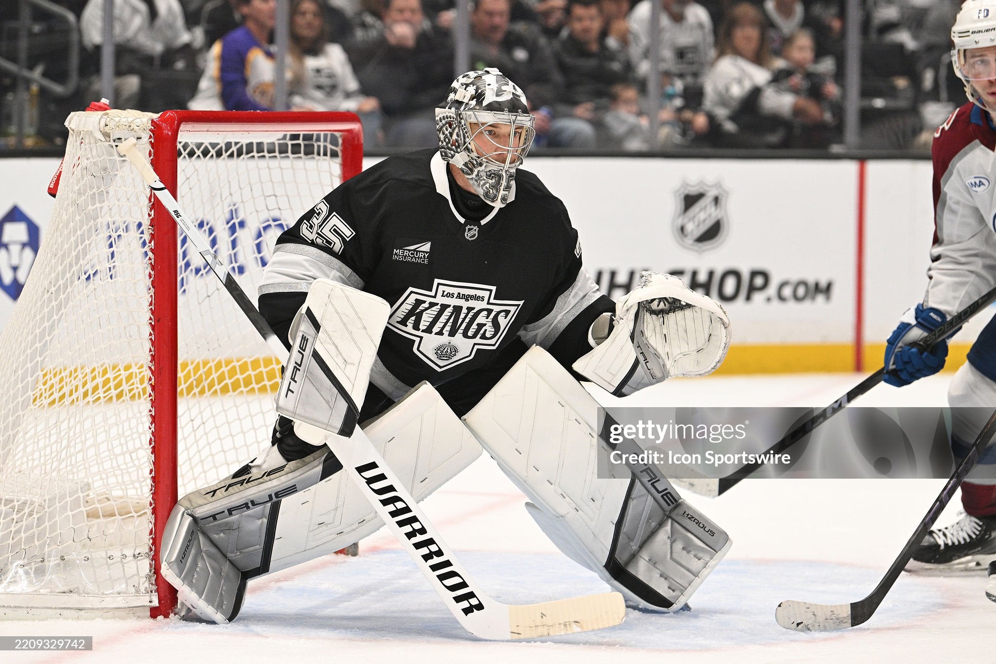 Darcy Kuemper Game-Used TRUE Glove & Blocker - Photo-Matched