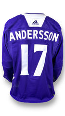 Adidas Primegreen Purple Training Camp Jerseys