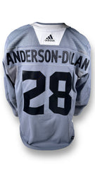 Adidas Primegreen Silver Training Camp Jerseys