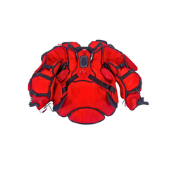 Anton Forsberg Chest and Arm Protector - Ottawa Senators